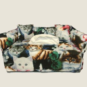 Kittens-Includes Free Shipping-Free Tissue