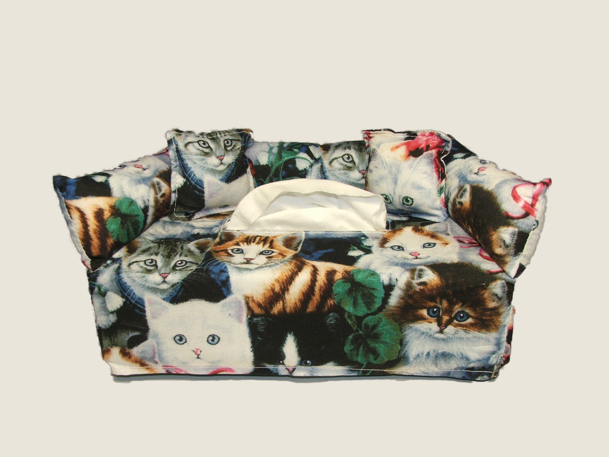 Kittens-Includes Free Shipping-Free Tissue