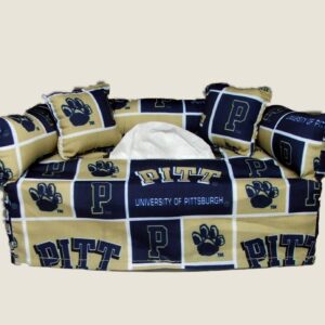 University of Pittsburgh - Includes Free Shipping-Free Tissue