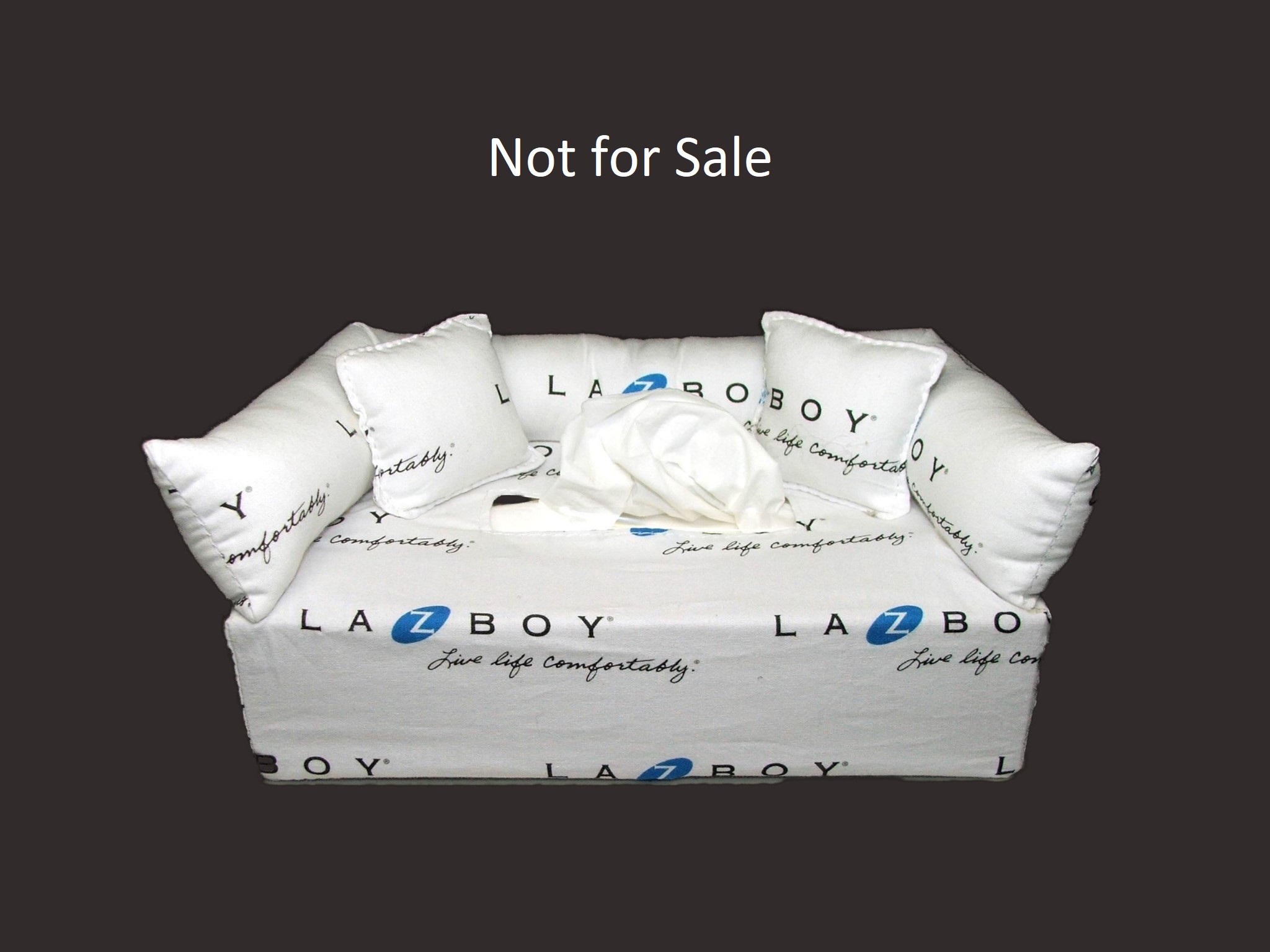 Lazy Boy - Includes Free Shipping-Free Tissue