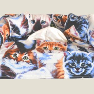 Kittens 2-Includes FREE Tissue - FREE Shipping