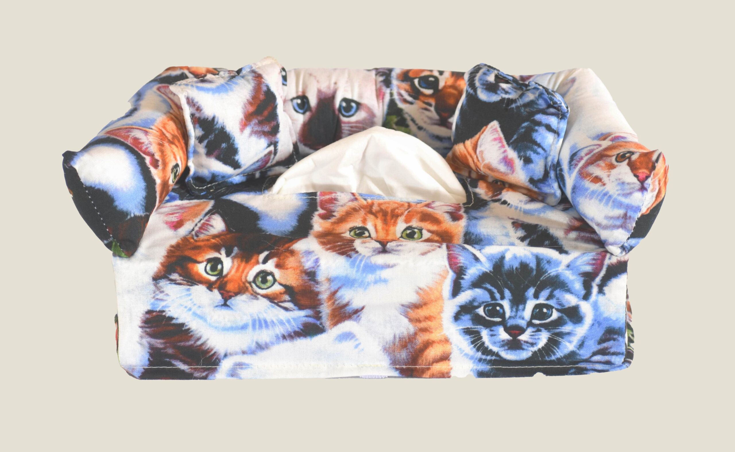 Kittens 2-Includes FREE Tissue - FREE Shipping